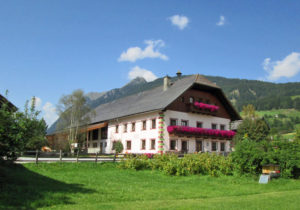 Sommerurlaub am Denggnhof