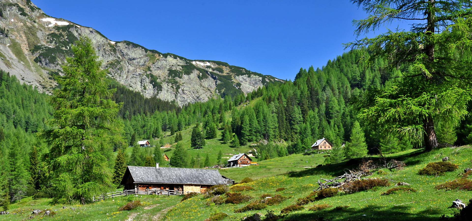 Denggnalm - Urlaub auf der Almhütte